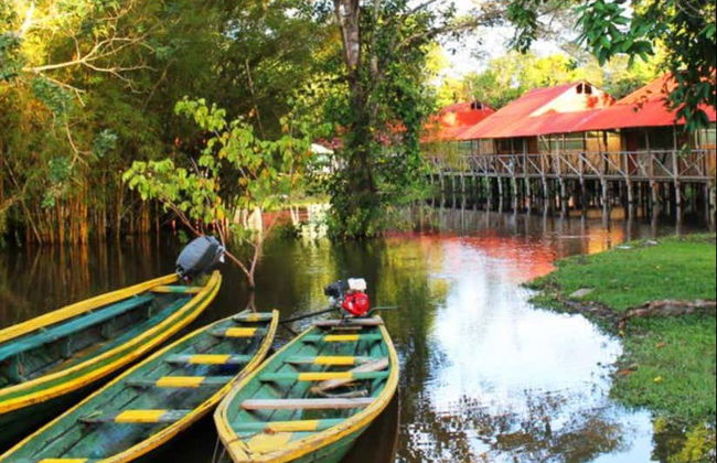 2, 3, 4, or 5-Day Peruvian Amazon Trip - Photo 8