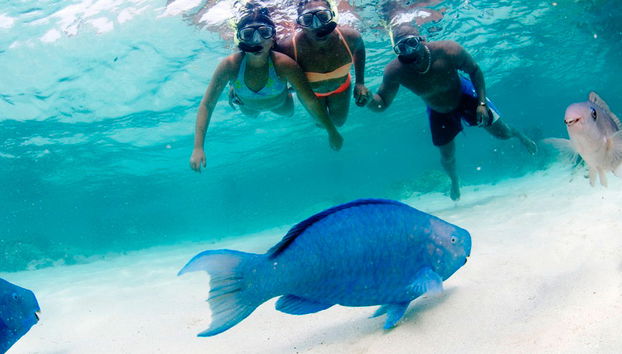 Palm Pleasure Katamaran Schnorchelabenteuer - Foto 4