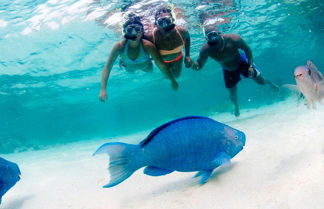 Avventura di Snorkeling - Foto 4