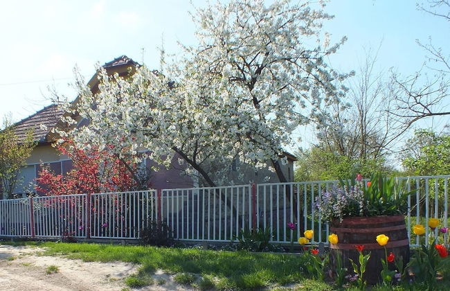 Müllers Ferienhaus Waldhof - Photo 31