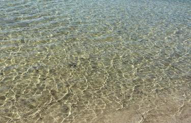 Domki i Pole Namiotowe Pod Sosnami - Foto 12