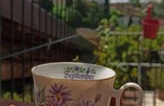 Casa Ernesto-AMICA DEI CICLISTI - Foto 27