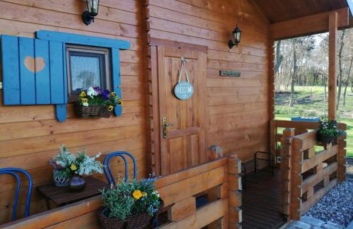 Smocze Ranczo - Foto 4