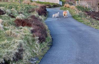 Skye Getaways Self Catering Accommodation - Foto 7