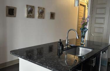 Relax in the Heart of Houston - Foto 19