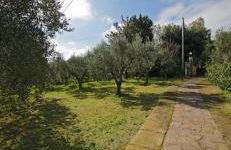 Casa Pizzillo - Foto 23