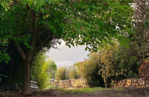 JARANDALUS (casa con atractivo y encanto) - Foto 57