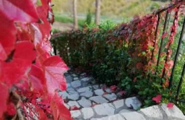 La Muntanera - Foto 40