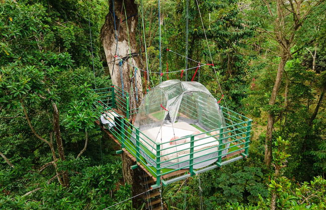 Green Jungle House - Photo 29