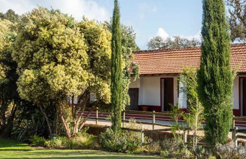 Herdade das Barradas da Serra - Foto 11