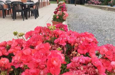 Casa Vacanze La Farfalla di Vittori Fabiola - Foto 20