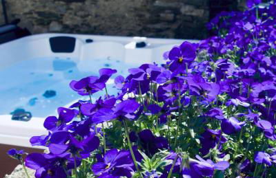 Stresa Complex LevOasi - Foto 56