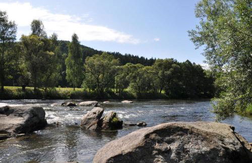 Ferienwohnung Regentalblick - Photo 36