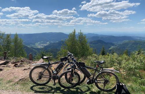 Schwarzwald Ferienwohnung - Foto 27