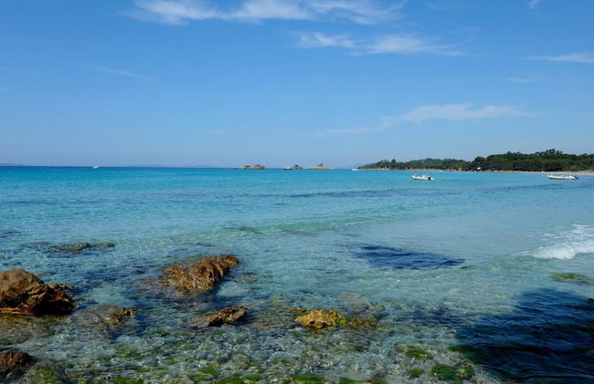 La Manne - Bormes les Mimosas - Foto 48