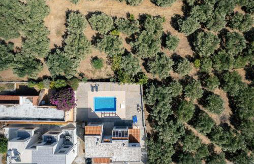 Greek Sky - New modern apartment with shared pool - Photo 22