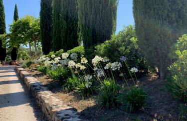 Le Domaine de l'Aiguille Alpilles, Eygalières, Saint Rémy de Provence - Foto 72