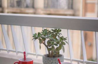 FRGK Victoria 4 Central Cannes 1BR Terrace, AC & Ultra-Fast Wi-Fi - Photo 30