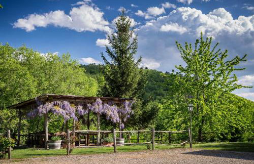 Le Cetinelle B&B - Foto 44