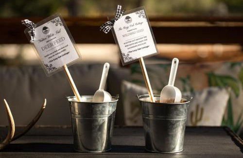 Feed Deer and Chickens Cozy Cottage 8 min to Boerne - Photo 50