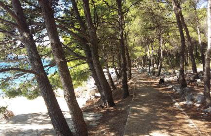 Apartments Mustač - Foto 51