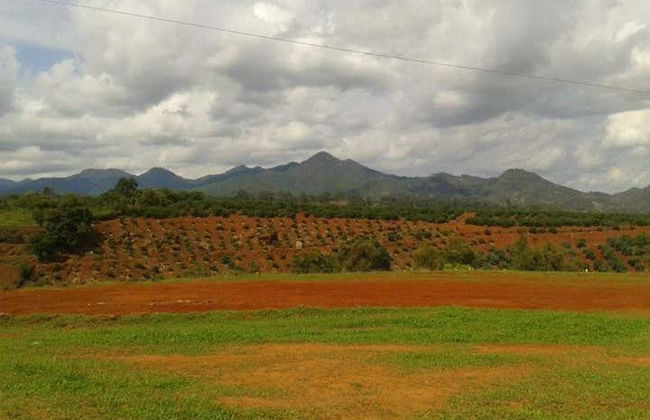 Tacámbaro & Alberca de Chupio Tour - Photo 2