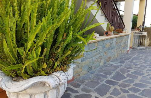 Agriturismo Macchia di Riso - Foto 10