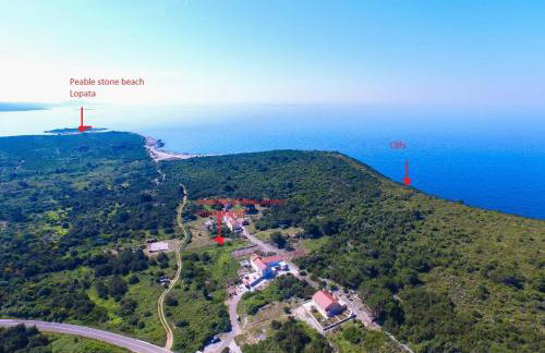 Sakarun - Ena - Photo 17