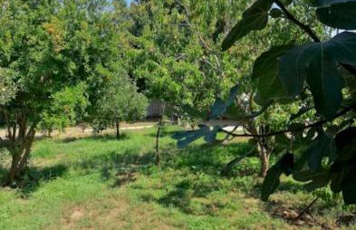 SOFIAS APARTMENTS in LESVOS - Photo 44