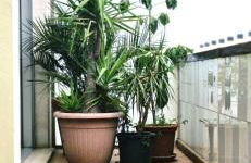 Relax y conexion - cerca de todo - Foto 8