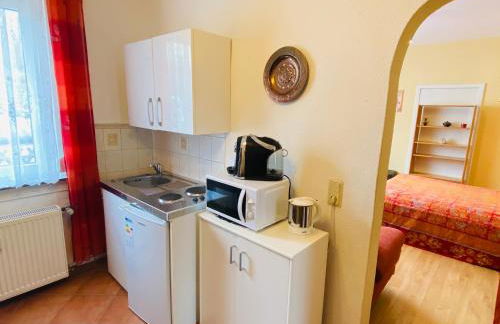 Single-Apartment bis 2 Personen, 27qm in Schleusingen, WLAN, Parkplatz - Foto 8