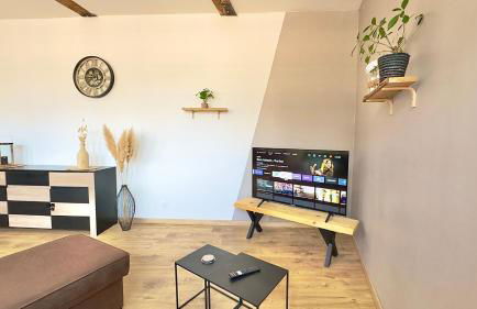 Bel appartement 2-4 pers Centre-ville Netflix - Foto 9