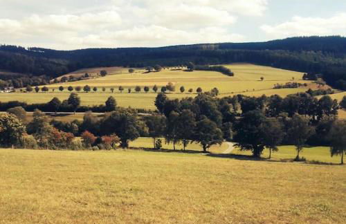 Gemütliche Wohnung Rothaarsteig Ski Sauna Ruhrtal Green Hill - Foto 22