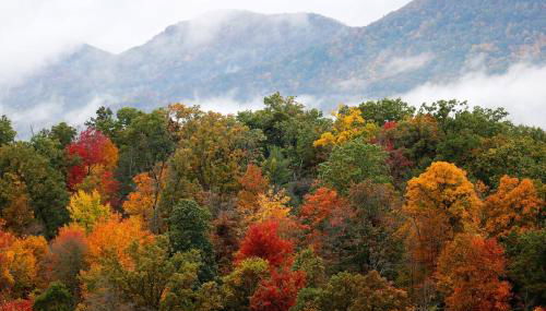 Cozy Ski Condo - Foto 5