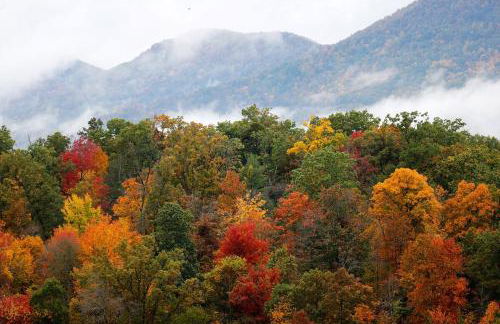 Cozy Ski Condo - Foto 5