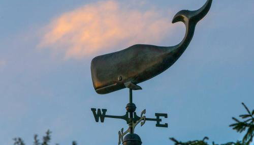 Blue Vieira Cottage - Foto 5