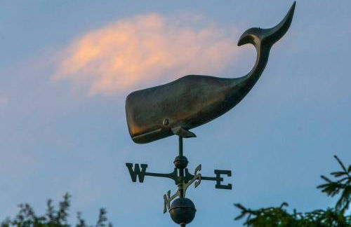 Blue Vieira Cottage - Foto 5