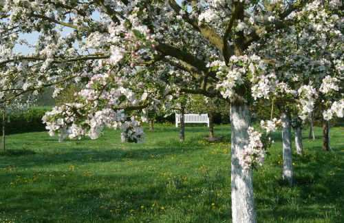 Deelenwohnung - Foto 13