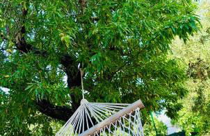 La dimora di Afrodite - Foto 15