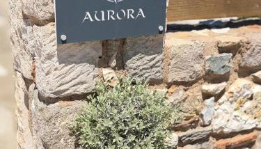Aurora Apart, 4 - Sea view suites near the beach - Foto 2, Garden