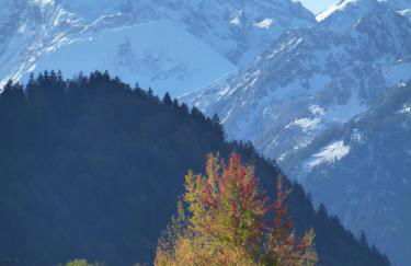 Ferienwohnungen Fricker - Photo 17