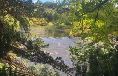 The Orchard Apartment, Clyde Valley - Foto 30