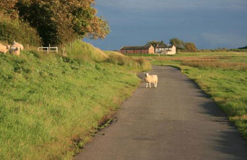 Pattys Barn Holiday Cottages, Cabins and Venue Hire - Foto 64