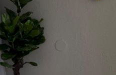 Sunshine guesthouse - Foto 8