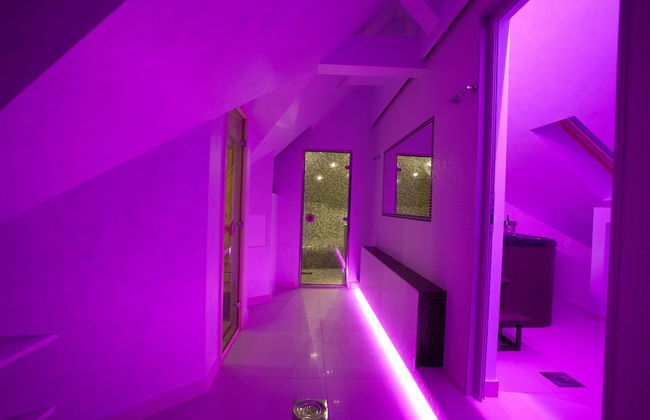 Vila Barović and Spa - Foto 43