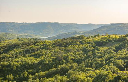 Nice Home In Buzet With Sauna - Photo 24