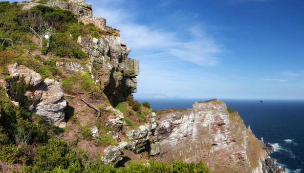 Tour de um dia na península do Cabo - Foto 2