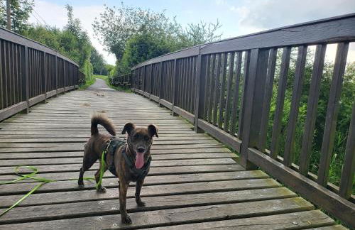 Pension Kostera - Foto 20