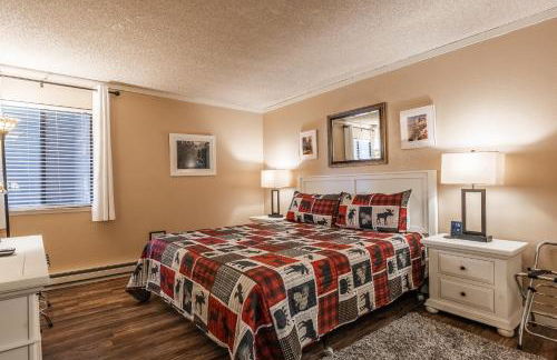 Summit Forester #47 BLDG.2 Bedrm / 2 bath Ski in Ski Out! Steps to Chair 15 at Little Eagle Lodge! - Foto 10