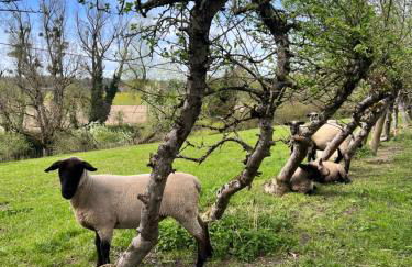 Am Flussgarten - Foto 20
